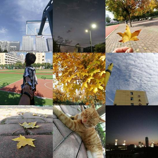 QQ图片20171102135653
